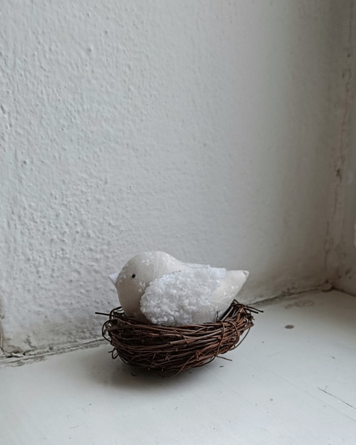 V hnízdečku — foto 5