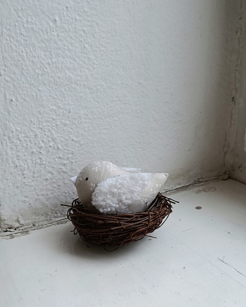 V hnízdečku — foto 2
