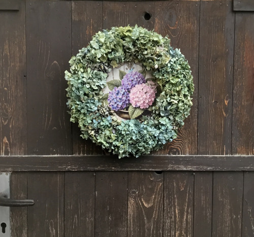 Hortenzie — foto 4