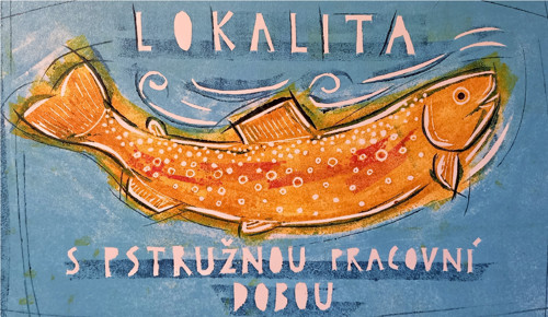 Pstružná pracovní doba — foto 3