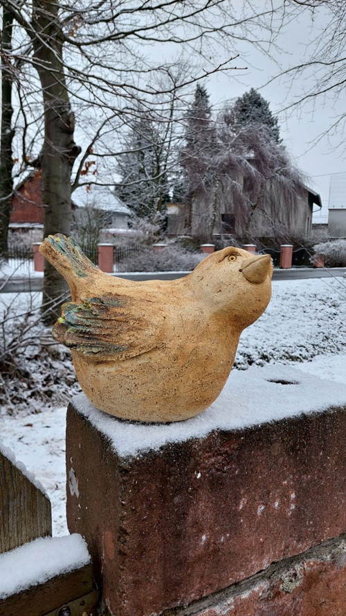 Baculák velký — foto 3
