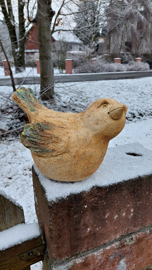 Baculák velký — foto 2