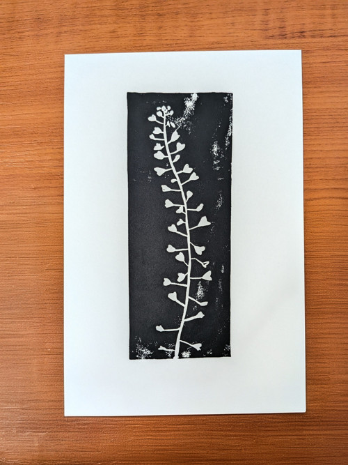 Linoryt 'Kokoška' — foto 2