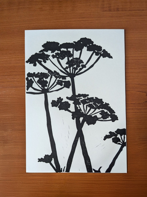 Linoryt 'Bršlice' — foto 2