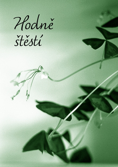 Zelené štěstí – přání A6 bez textu — foto 2