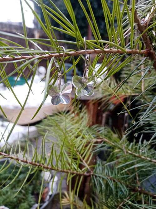 Motýlci, náušnice — foto 5