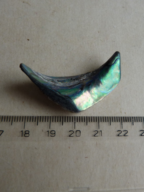 Perleť mušle Paua - 4,3 cm (P14) — foto 4