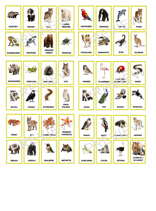 Kartičky zvířata 3 k tisku v PDF — foto 4