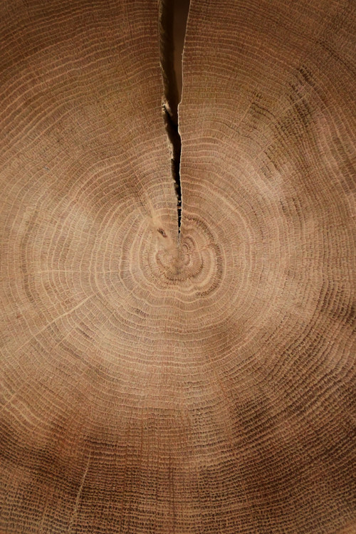Rustikální stolek Meridiem — foto 3