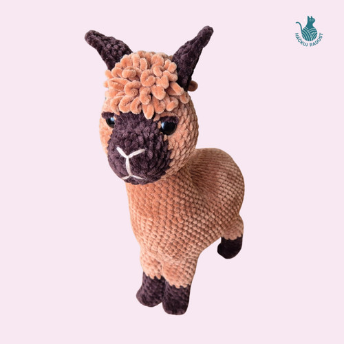 Lama alpaka — foto 2