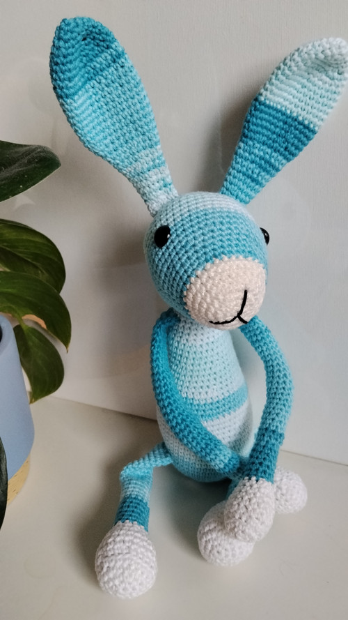 Hačkovaný králík — foto 3