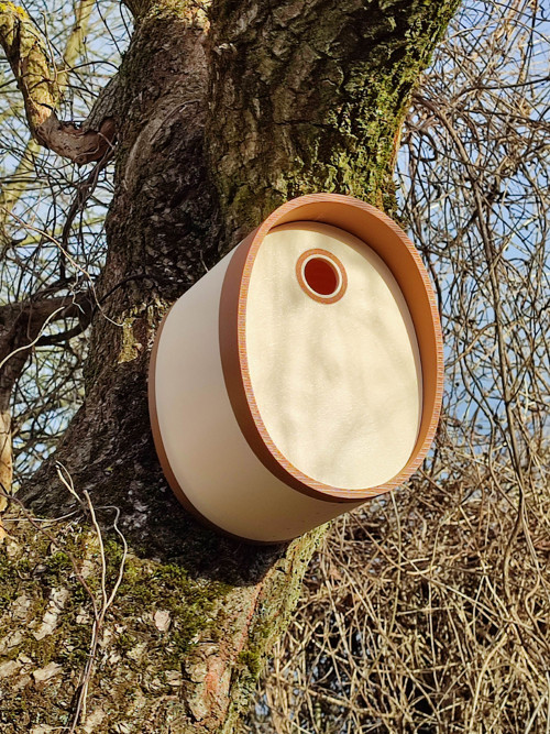 Ptačí budka "Aura" — foto 3