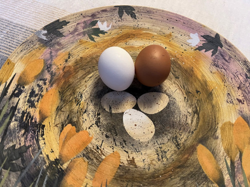 Hnízdečko — foto 3