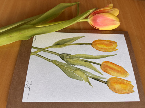 Obrázek/přáníčko Tulipány — foto 2