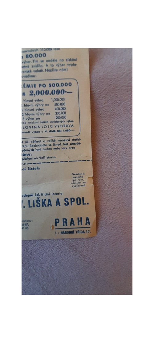 Los od lišky — foto 3