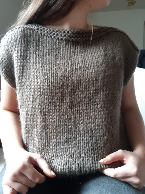 Vesta hnědá SLEVA — foto 3