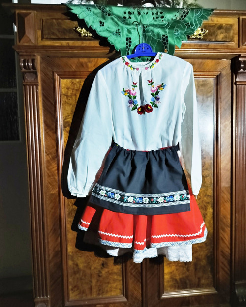 Karnevalový kostým, kroj — foto 6