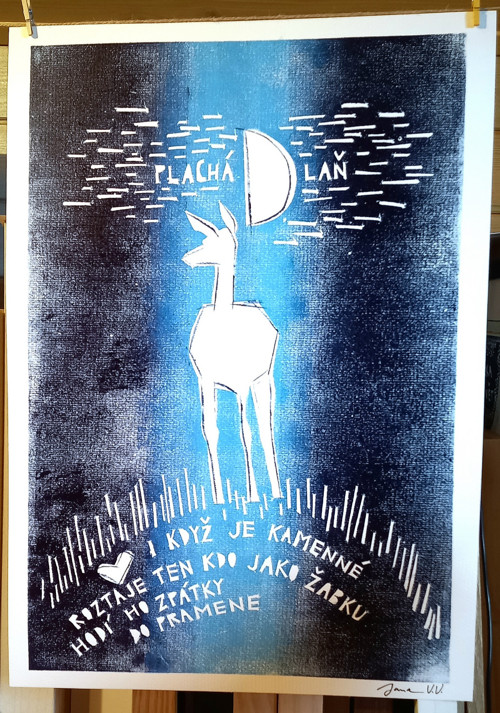 Plachá dlaň — foto 4