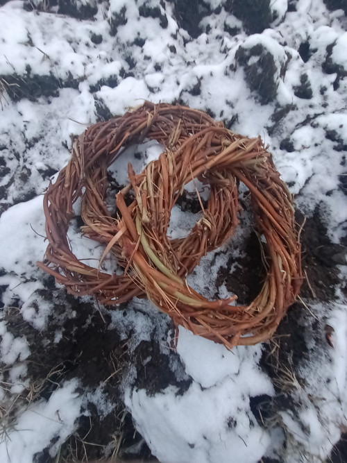 Réváč — foto 4