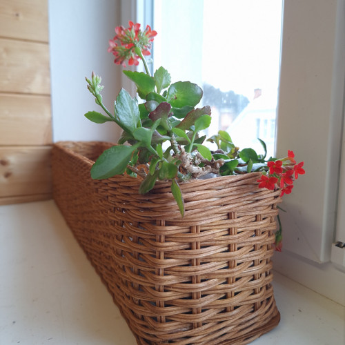 Proutěné truhlíky — foto 4