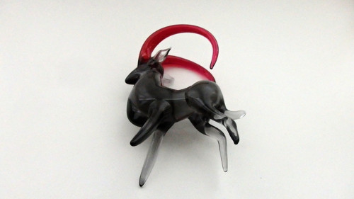 Kozoroh — foto 5