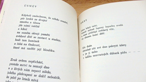 Ocúnová flétna — foto 3