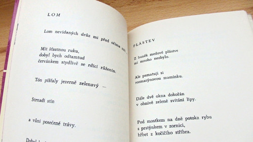 Ocúnová flétna — foto 2