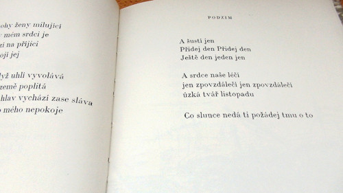 Potopa — foto 3