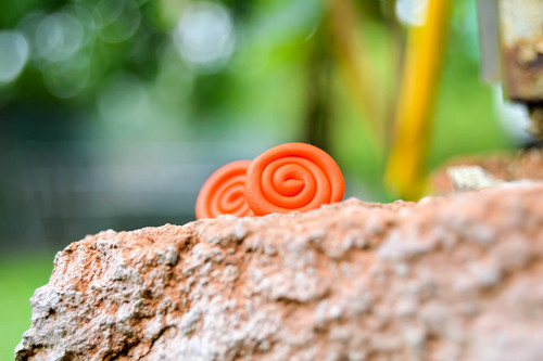 Spirálky-pecičky — foto 4