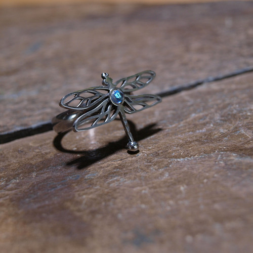 Vážkový — foto 4
