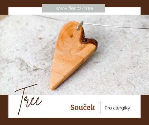 Souček — foto 5