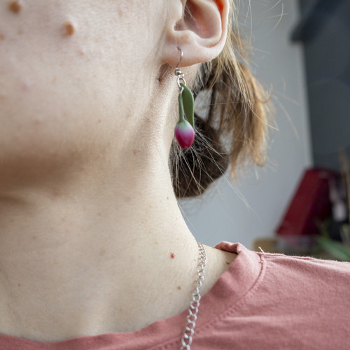Sada barevné tulipány — foto 6