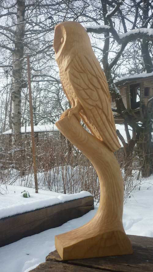 Sova pálená — foto 6