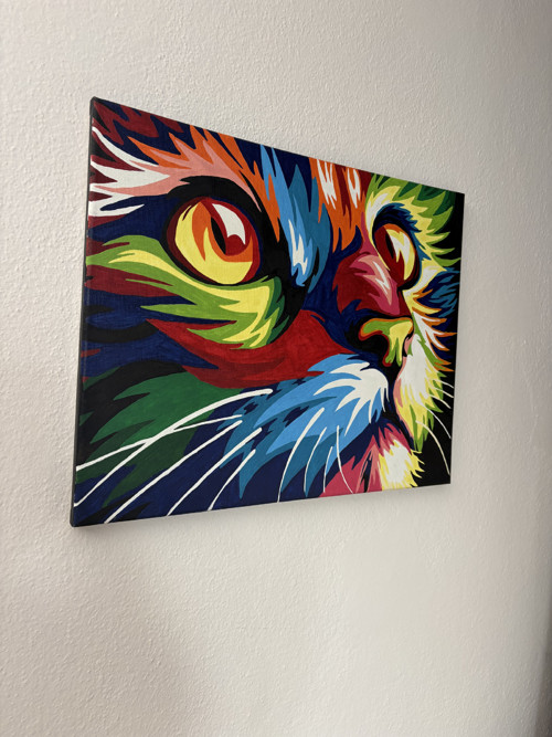 Barevná kočka – 50 × 40 cm — foto 2