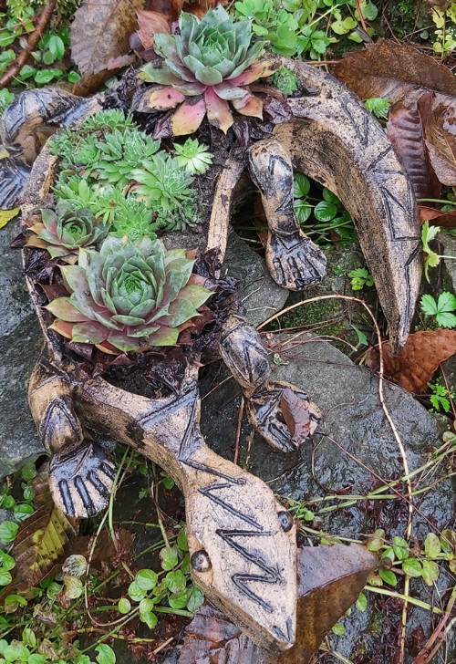 Ještěr netřeskovitý — foto 3