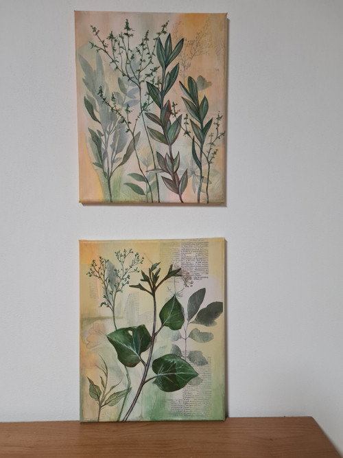 Botanicus 2 — foto 4