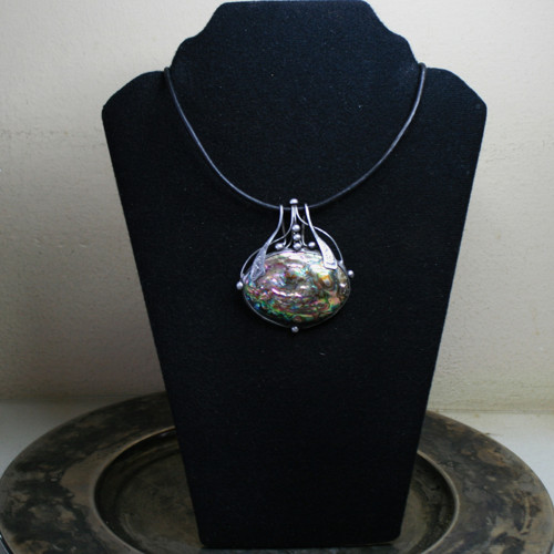 Duhová mušle Abalone, — foto 2