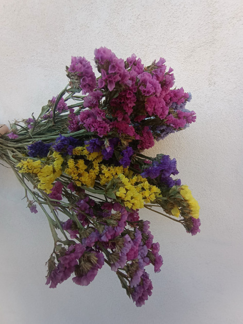 Statice — foto 2