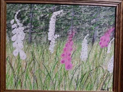 Když kvete les — foto 2