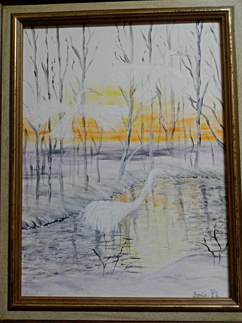 Volavka — foto 2