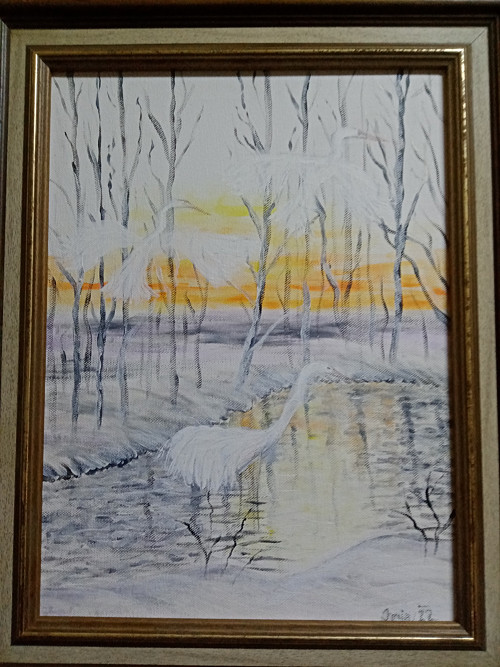 Volavka — foto 4