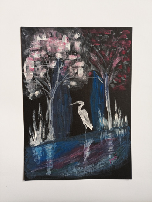 Bílá volavka — foto 3