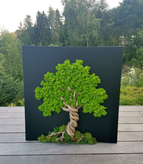 Živý mechový obraz, strom 80x80cm — foto 2
