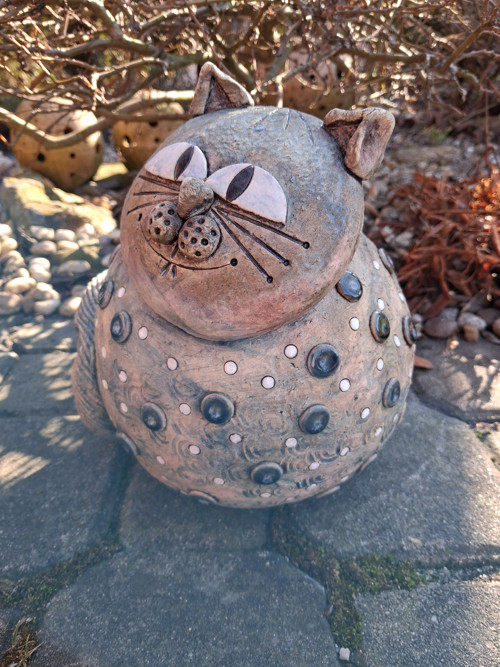Kočka kulatá — foto 4