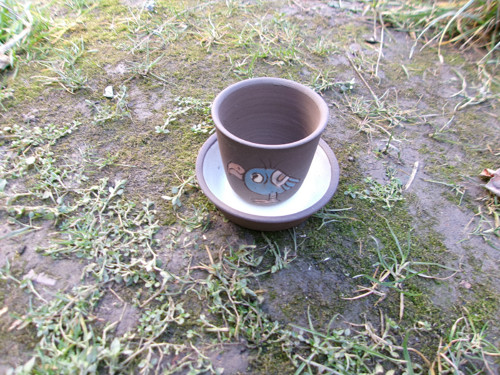 Květináček ptáček — foto 2