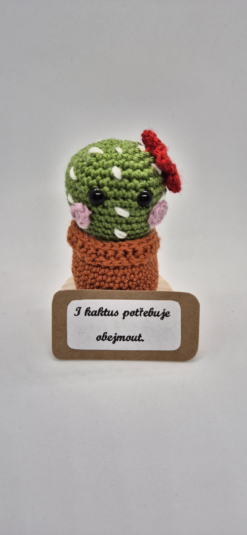Háčkovaný kaktus „Objímač“ — foto 2