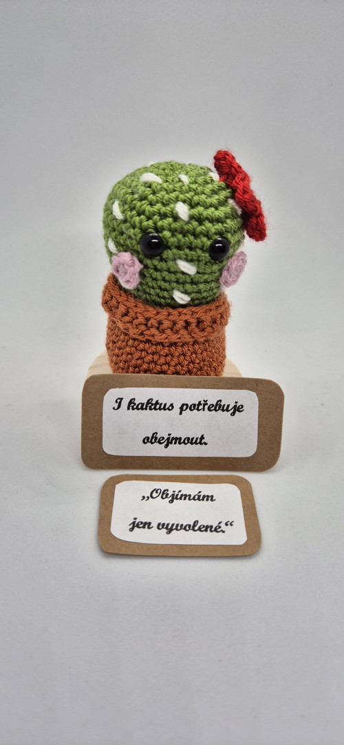 Háčkovaný kaktus „Objímač“ — foto 3