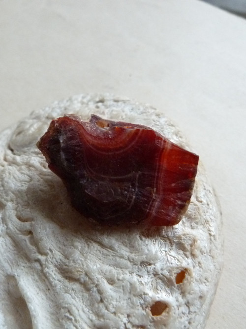 Karneol nábrus - 3,7 cm - Extra! — foto 5
