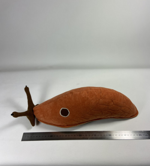 Slimák(Limax) — foto 3
