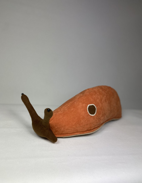 Slimák(Limax) — foto 2